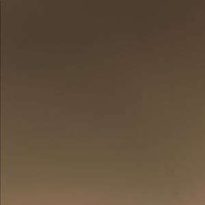 Meet your Posher, Alaina